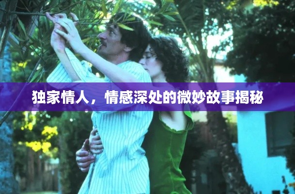 独家情人,情感深处的微妙故事揭秘