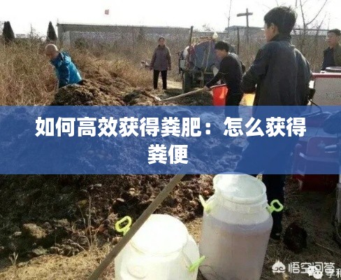如何高效获得粪肥：怎么获得粪便 