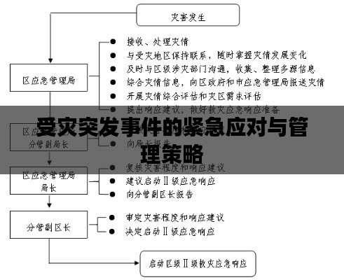 受灾突发事件的紧急应对与管理策略