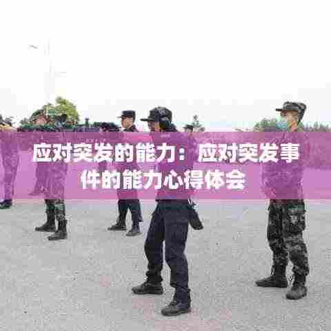 应对突发的能力:应对突发事件的能力心得体会