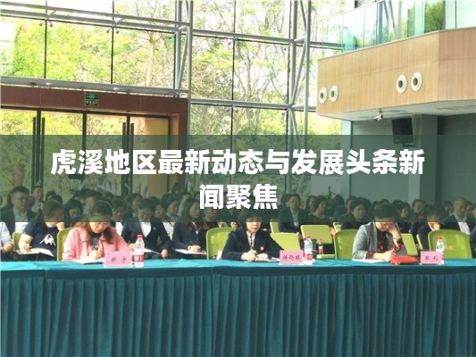 虎溪地区最新动态与发展头条新闻聚焦