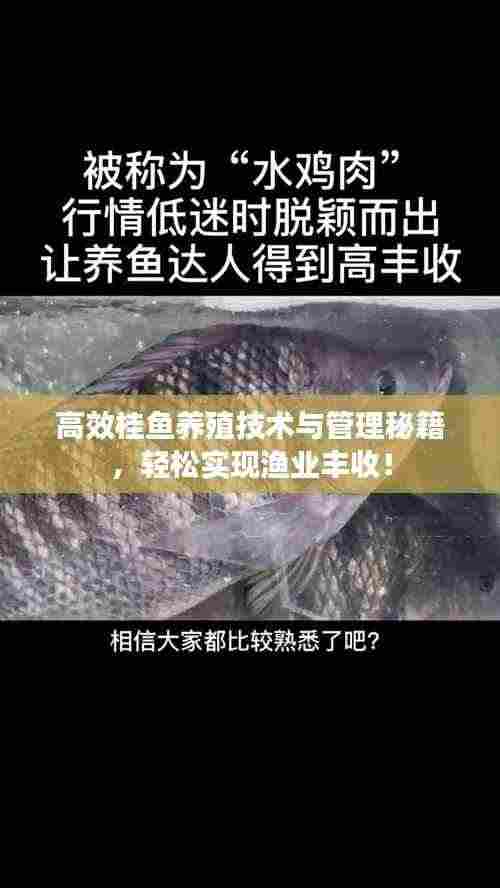 高效桂鱼养殖技术与管理秘籍，轻松实现渔业丰收！