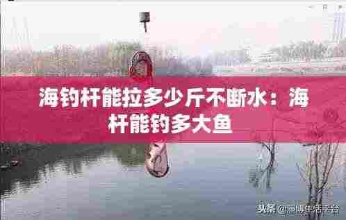 海钓杆能拉多少斤不断水:海杆能钓多大鱼