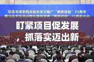 盯紧项目促发展,抓落实迈出新步伐