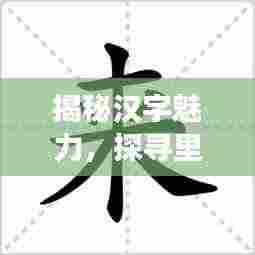 揭秘汉字魅力,探寻里字的笔画笔顺之旅