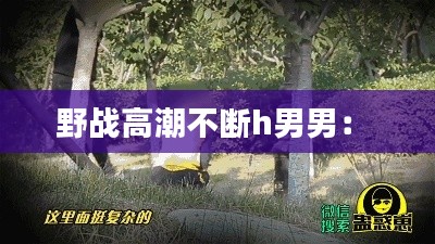 野战高潮不断h男男： 
