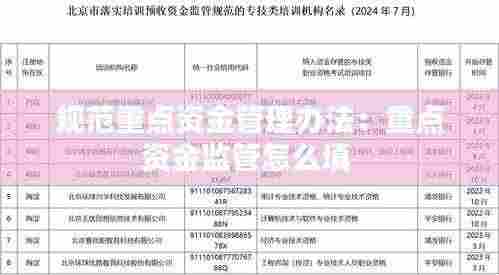 规范重点资金管理办法:重点资金监管怎么填