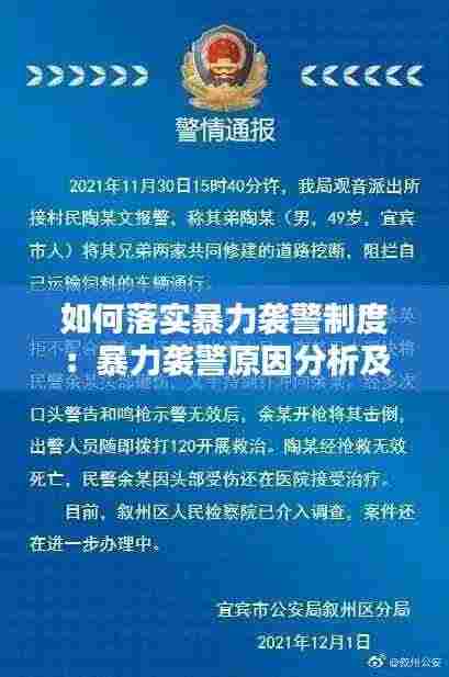 如何落实暴力袭警制度:暴力袭警原因分析及对策建议