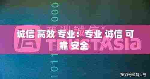 诚信 高效 专业:专业 诚信 可靠 安全