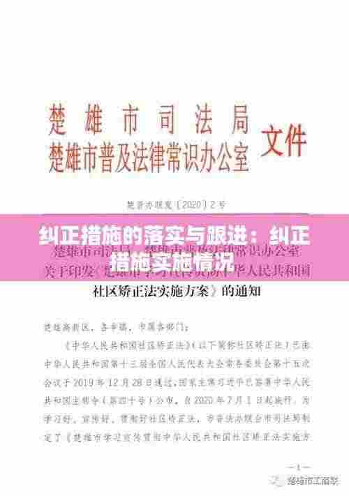 纠正措施的落实与跟进:纠正措施实施情况