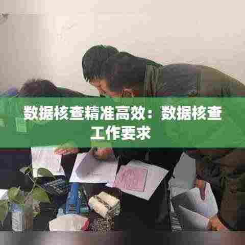 数据核查精准高效:数据核查工作要求