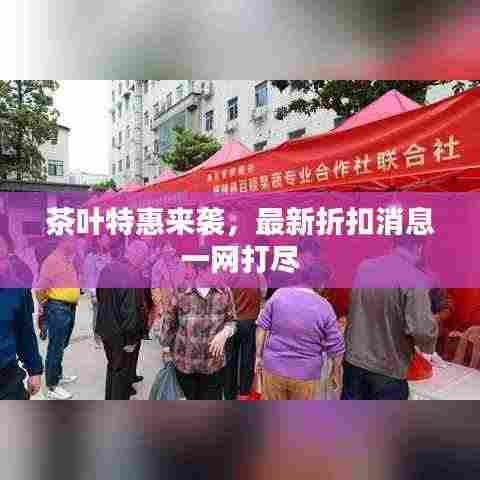 茶叶特惠来袭，最新折扣消息一网打尽