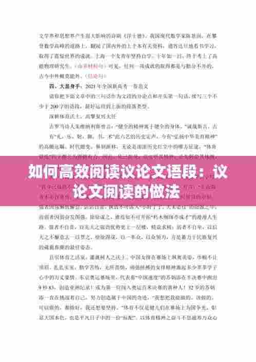 如何高效阅读议论文语段:议论文阅读的做法