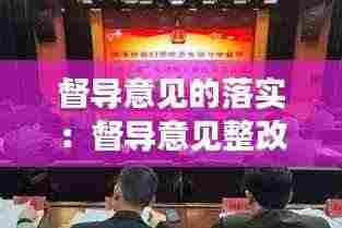 督导意见的落实:督导意见整改