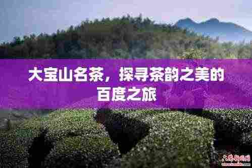 大宝山名茶，探寻茶韵之美的百度之旅