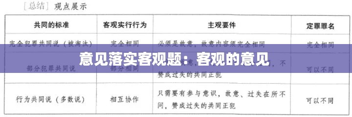 意见落实客观题：客观的意见 