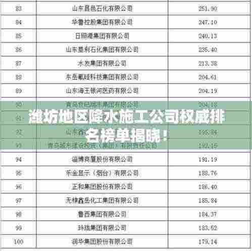 潍坊地区降水施工公司权威排名榜单揭晓!