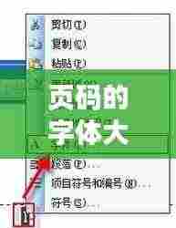 页码的字体大小规范:页码字体大小怎么整体设置