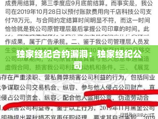 独家经纪合约漏洞:独家经纪公司