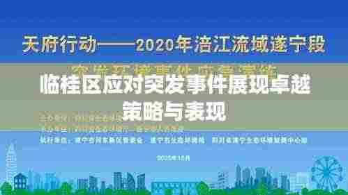 临桂区应对突发事件展现卓越策略与表现