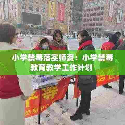 小学禁毒落实师资:小学禁毒教育教学工作计划