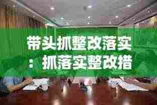 带头抓整改落实:抓落实整改措施