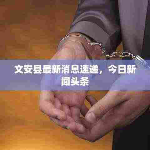 文安县最新消息速递，今日新闻头条