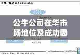 公牛公司在华市场地位及成功因素深度解析