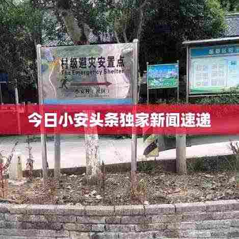 今日小安头条独家新闻速递
