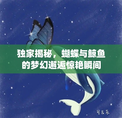 独家揭秘，蝴蝶与鲸鱼的梦幻邂逅惊艳瞬间