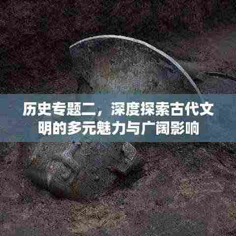 历史专题二,深度探索古代文明的多元魅力与广阔影响