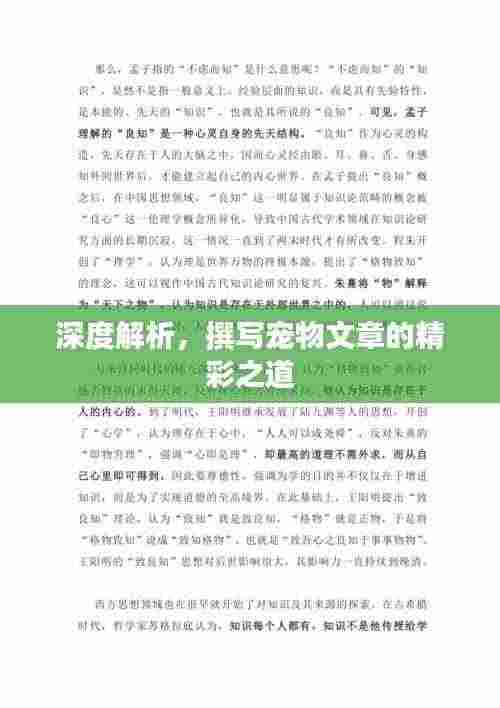 深度解析,撰写宠物文章的精彩之道