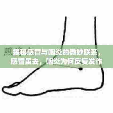 揭秘感冒与咽炎的微妙联系,感冒虽去,咽炎为何反复发作?