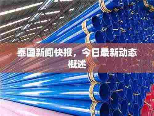 泰国新闻快报,今日最新动态概述