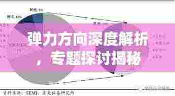 弹力方向深度解析,专题探讨揭秘