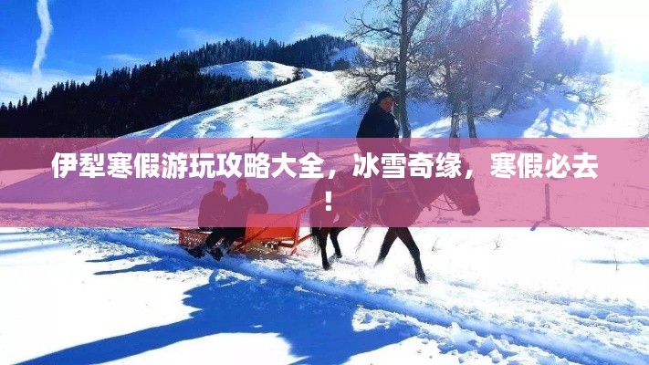 伊犁寒假游玩攻略大全,冰雪奇缘,寒假必去!