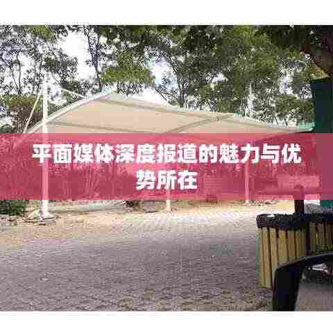 平面媒体深度报道的魅力与优势所在