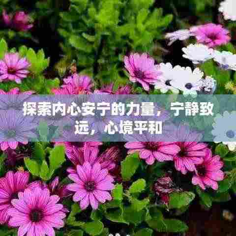 探索内心安宁的力量,宁静致远,心境平和