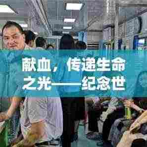 献血，传递生命之光——纪念世界献血者日的力量与意义