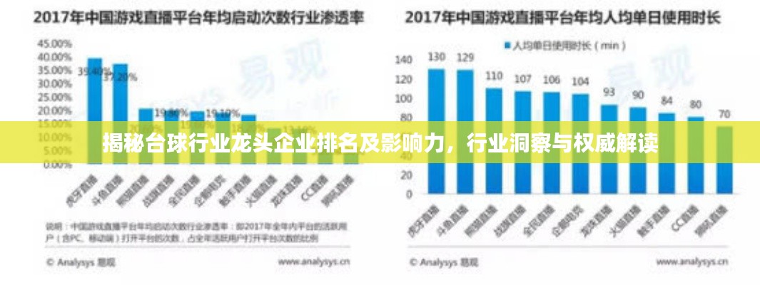 揭秘台球行业龙头企业排名及影响力,行业洞察与权威解读