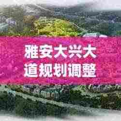 雅安大兴大道规划调整重磅更新!最新动态揭秘