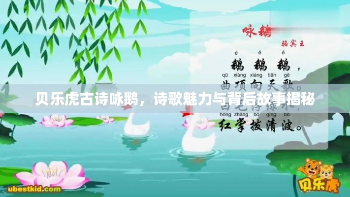 贝乐虎古诗咏鹅,诗歌魅力与背后故事揭秘