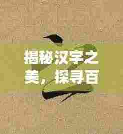 揭秘汉字之美,探寻百度笔下的笔顺奥秘