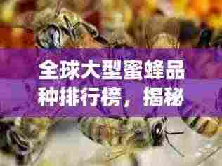 全球大型蜜蜂品种排行榜,揭秘顶级蜜蜂的壮丽世界!