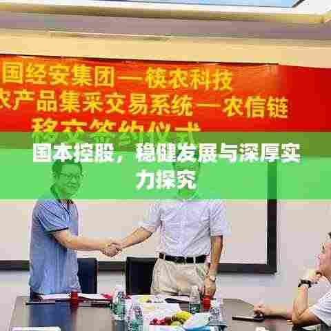 国本控股，稳健发展与深厚实力探究