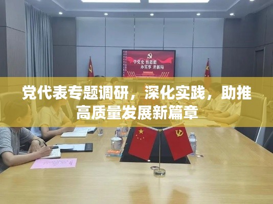 党代表专题调研,深化实践,助推高质量发展新篇章