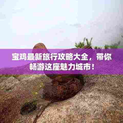 宝鸡最新旅行攻略大全,带你畅游这座魅力城市!