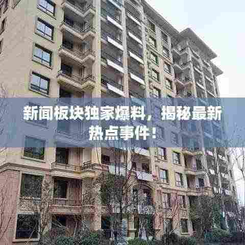 新闻板块独家爆料，揭秘最新热点事件！