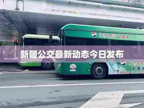 新疆公交最新动态今日发布