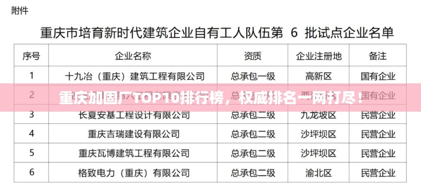 重庆加固厂TOP10排行榜,权威排名一网打尽!